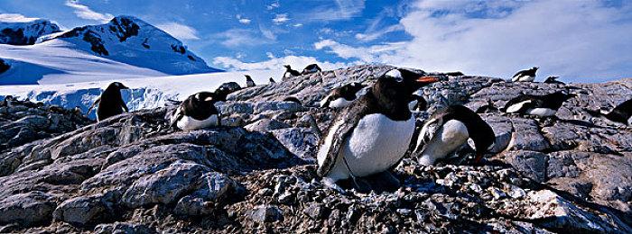 未来游戏展：银河恶魔城结合魂系《最后的信念》预告