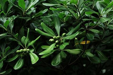 放置钓鱼游戏《猫猫钓游记》Steam页面上线 支持简体中文