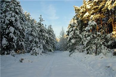 《享受这间餐厅吧》登陆steam 手绘风选项冒险新游